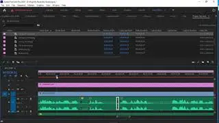Adobe Premiere Pro - Removing smacking sounds from the audio