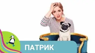 👨‍👨‍👧‍👧ПЕРВАЯ ИЗВЕСТНАЯ ЭКРАНИЗАЦИЯ ЗНАМЕНИТОЙ СКАЗКИ ШАРЛЯ ПЕРРО! Патрик. Фильм в HD. STARMEDIAKIDS