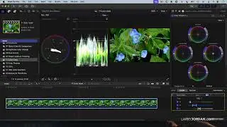 How to Use Shape and Object Masks in Final Cut Pro to Change Colors in a Video