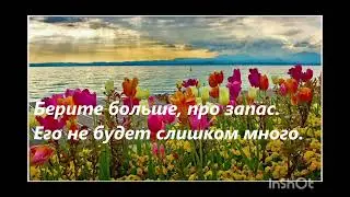 10 марта 2024 г.