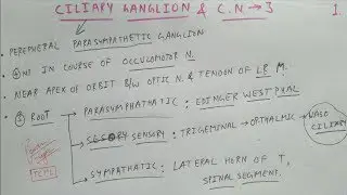 Ciliary Ganglion & Oculomotor Nerve - 1 | Cranial Nerve | Neuro Anatomy | TCML