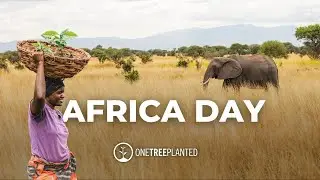 Africa Day: A Symbol of Life | One Tree Planted