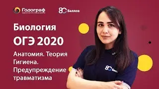 ОГЭ по Биологии 2023. Человек и его здоровье. Гигиена. Предупреждение травматизма