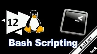 Bash Scripting (12) For Loops