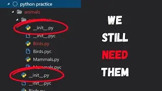 Do you still need __init__.py file in Python packages? 2MinutesPy