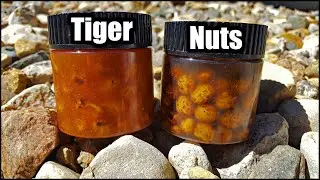 How to Make FLAVORED Tiger Nuts for Carp Fishing! (Home Made Carp Bait)