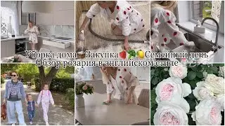 Сделала перманент бровей и межресничку👩🏼‍🦳Навожу порядок на кухне🧹🧺Обзор моих роз с названиями👒🍧