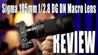 Sigma 105mm f/2.8 DG DN Macro Lens Review