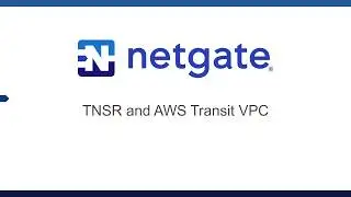 TNSR Use Case - Transit VPC