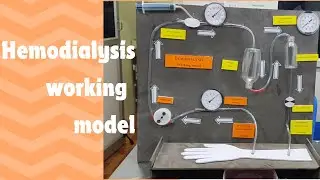 Hemodialysis working model | Biology Working Model | School Project Working Model | Science Project