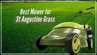 Best Mower for St Augustine Grass - Top 5 Mower of 2021