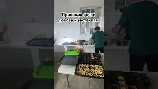 Обучаю дочь