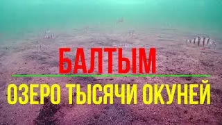 Балтым. Озеро тысячи окуней.