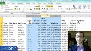 Microsoft Excel Tutorial: How to Delete Columns and Rows