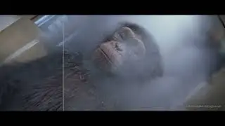 3 Body Problem | Frozen Chimp Breakdown | Image Engine VFX