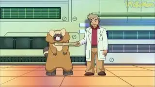 Bibarel attacks Professor Oak | Pokemon quiz