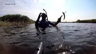 Подводная охота днем р.Дон - пеленгас карась щука окунь