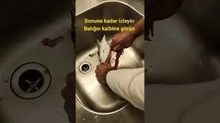 daha önce atan balık kalbi gördünüz mü ?