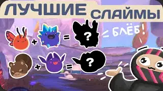 Нашел и скрестил НОВЫХ БЛЕБОВ