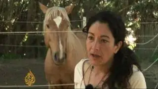 The Spanish horse whisperer - Sportsworld - 25 Mar 09