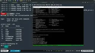Установка Oracle Linux 8.1[ UEK Release 6 | inst.text | EFI ]  в KVM hypervisor