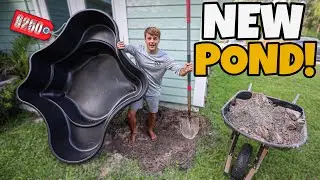 Building a BACKYARD FISH POND!! (cheap & easy)