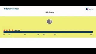 IVF Stimulation Protocol - Short Protocol