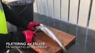 Filetering av fisk (lyr) på 1 minutt. Effektiv filetering 😊