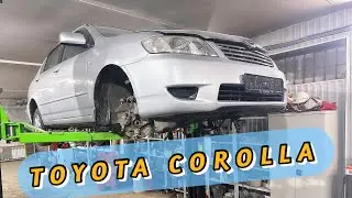 Toyota Corolla - главное не сдаваться!