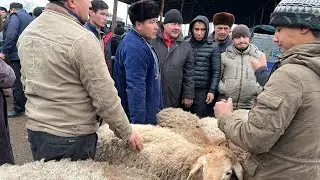 ГУСФАНД БОЗОРИ РЕГАР НАРХИ ГУСФАНДОИ ЗУРИ ЗУР КУЧКОР СОВЛУКО 26 февраля 2023 г.
