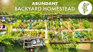 Couple's Amazing Backyard Homestead Produces TONS of Food in the City + FULL GARDEN TOUR