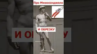 Про Микеланджело и обрезку