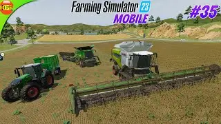 SoyBean is Everywhere | Farming Simulator 23 Amberstone #35