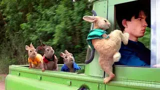 Peter Rabbit's best funny scenes 🌀 4K