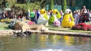 Бал хризантем в Фельдман Экопарк