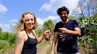 6 Months Restoring an Abandoned Smallholding in Spain ~ Permaculture Project