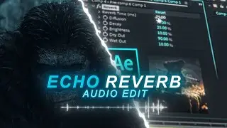 Echo reverb audio tutorial after effects