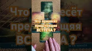 Как пройдёт ВСТРЕЧА?