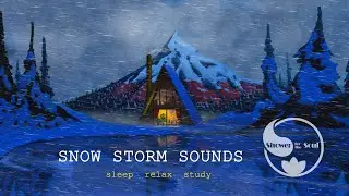 ❄️ Sound sleep to the sound of a snow storm. Blizzard, howling wind.