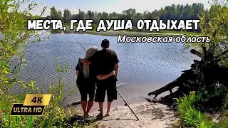 Отдых на машине и с палаткой в Московской области. Кемпинги, рыбалка и бесплатные места Подмосковья.