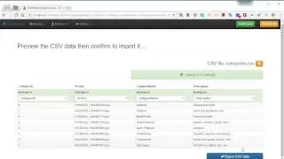 CSV import interface