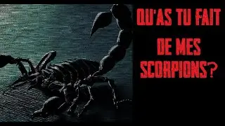 CREEPYPASTA FR - Qu'as tu fait de mes scorpions?