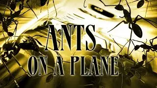 Ants on a Plane - Full Movie