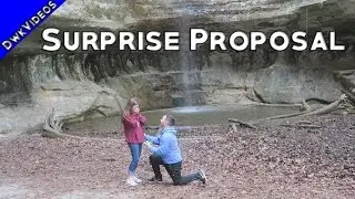 Surprise Proposal Vlog - DwkVideos