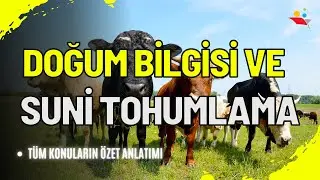 🐄🌱 Doğum Bilgisi ve Suni Tohumlama: Hayvancılıkta Temel Bilgiler 🌱🐄