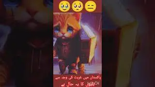 Zindagi wich Koi Aaye na raba 🥺💔 #shortsfeed #shortvideo #cat #shorts #short #catlover #viralshorts