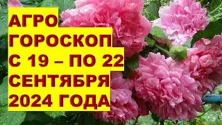 Агрогороскоп с 19 по 22 сентября 2024 года Agrohoroscope from September 19 to September 22, 2024