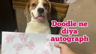 Ek autograph ke liye karni padi itni sari mehnat