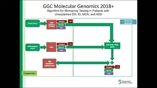 Clinical Diagnosis of DD with CMA