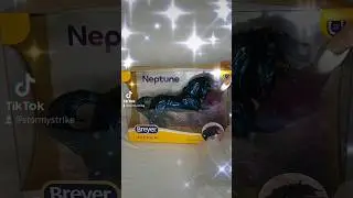 Unboxing Breyer 2024 Unicorn Neptune! #breyerhorses #modelhorses #unicorn